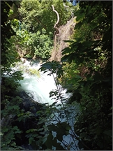 IMG_20240507_114644_591